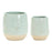 Melrose Two-Tone Porcealin Planter/Leaf Design (Set of 2), Green/Tan - 85942DS