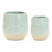 Melrose Two-Tone Porcealin Planter/Leaf Design (Set of 2), Green/Tan