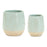 Melrose Two-Tone Porcealin Planter/Leaf Design (Set of 2), Green/Tan