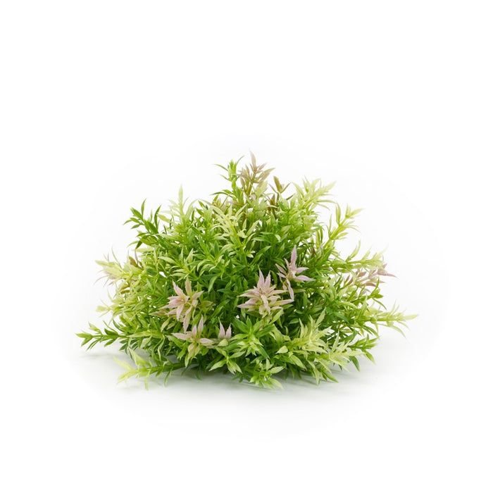 Melrose International Varigated Mini Leaf Half Orb, Set of 6