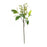 Melrose International Green Berry Foliage Spray, Set of 6