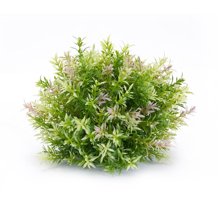 Melrose International Varigated Mini Leaf Half Orb, Set of 6, Green