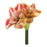 Melrose Amaryllis Flower Stem, Set of 2, Green/Yellow/Pink - 86239DS