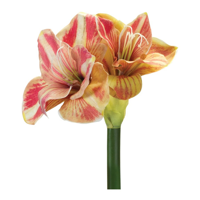 Melrose Amaryllis Flower Stem, Set of 2, Green/Yellow/Pink - 86239DS