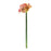 Melrose Amaryllis Flower Stem, Set of 2, Green/Yellow/Pink