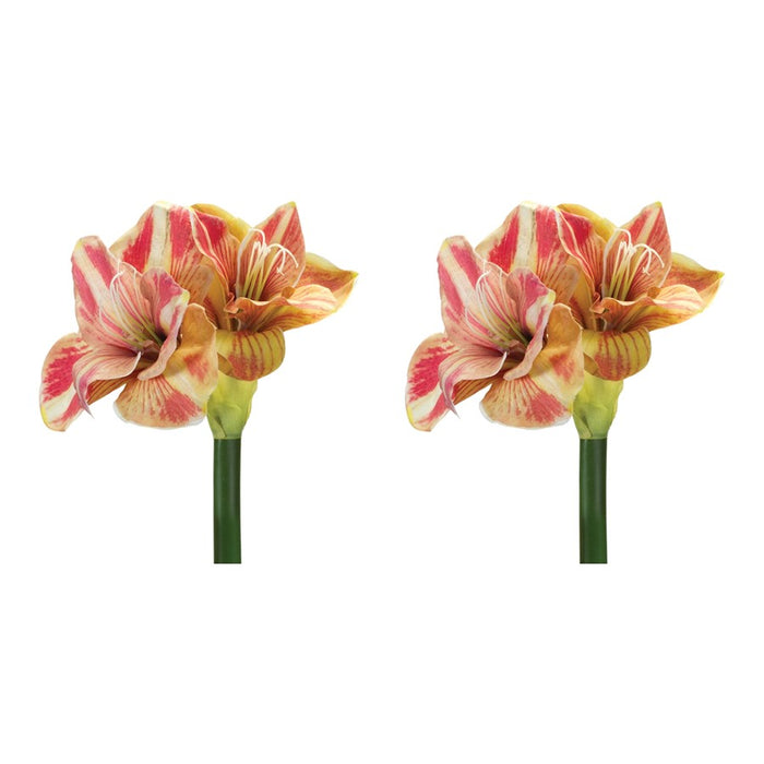 Melrose Amaryllis Flower Stem, Set of 2, Green/Yellow/Pink