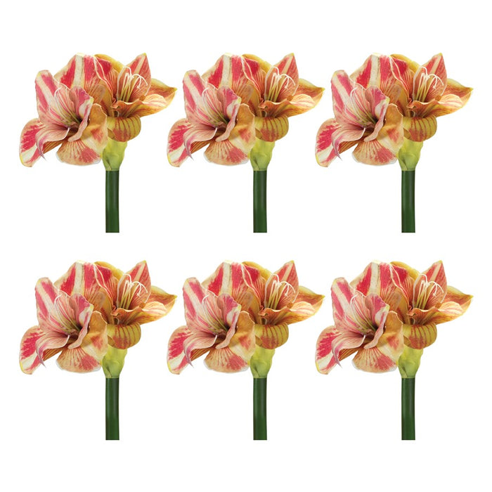 Melrose Amaryllis Flower Stem, Set of 2, Green/Yellow/Pink