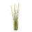 Melrose International Foxtail Bush, Set of 6, Green/Tan