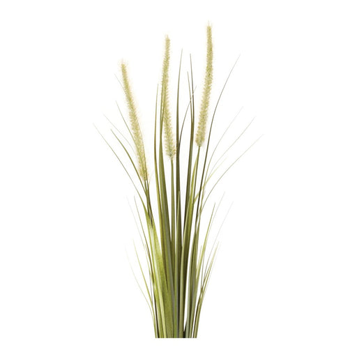 Melrose International Foxtail Bush, Set of 6, Green/Tan