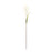 Melrose International Astilbe Stem, Set of 6, White/Green