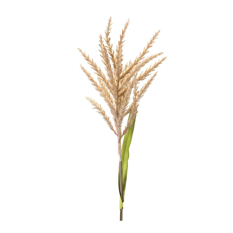 Melrose International Astilbe Stem, Set of 12, Green/Brown - 86253DS