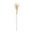 Melrose International Astilbe Stem, Set of 12, Green/Brown