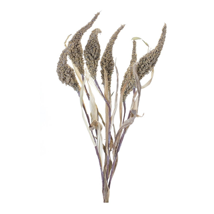 Melrose International Seeded Harvest Bush, Set of 6, Brown - 86254DS