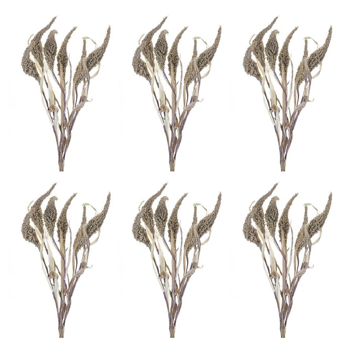 Melrose International Seeded Harvest Bush, Set of 6, Brown