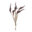 Melrose International Seeded Harvest Bush, Set of 12, Brown/Tan - 86255DS