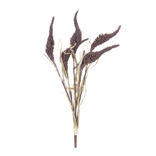 Melrose International Seeded Harvest Bush, Set of 12, Brown/Tan - 86255DS