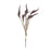 Melrose International Seeded Harvest Bush, Set of 12, Brown/Tan