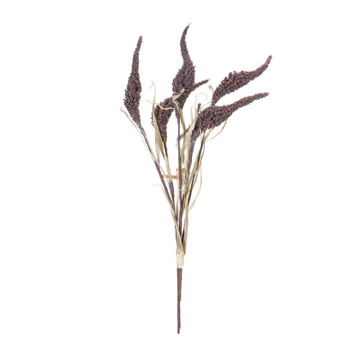 Melrose International Seeded Harvest Bush, Set of 12, Brown/Tan