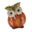 Melrose Terra Cotta Pumpkin, Owl Figurine, Set of 2, White/Orange