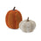 Melrose Woven Sweater Design Pumpkin, Set of 2, Orange/White/Brown - 86586DS