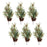 Melrose International Pine Spray, Set of 6, Green/Brown
