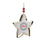 Melrose Tree/Star Cookie Cutter Ornament, Set of 12, Green/White/Brown