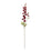 Melrose International Delphinium, Set of 12, Crimson/Green