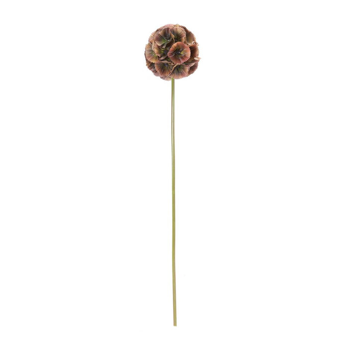 Melrose International Floral Pod Stem, Set of 6, Green/Borwn