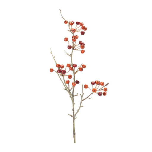Melrose International Berry Pod Spray, Set of 6, Red/Orange - 86929DS