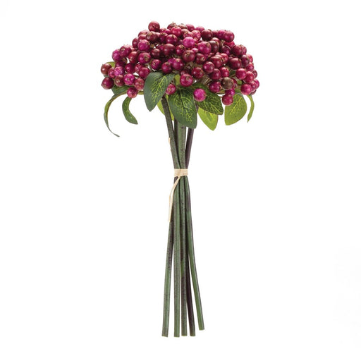 Melrose International Cranberry Bundle, Set of 6, Purple/Green