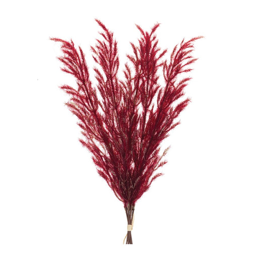 Melrose International Burgandy Plume Bundle, Set of 6, Crimson - 86958DS