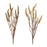 Melrose International Amaranthus Bush, Set of 2, Brown/Tan - 86972DS