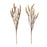 Melrose International Amaranthus Bush, Set of 2, Brown/Tan