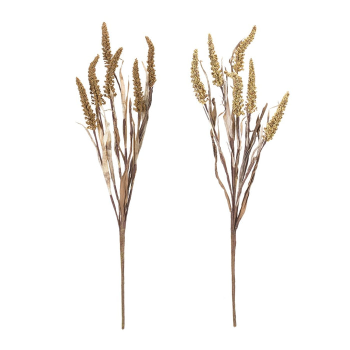 Melrose International Amaranthus Bush, Set of 2, Brown/Tan