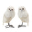 Melrose International Winter Owl Decor, Set of 2, White - 87093DS