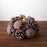 Melrose Frosted Pine Cone Votive Candle Holder, Set of 6, White/Brown