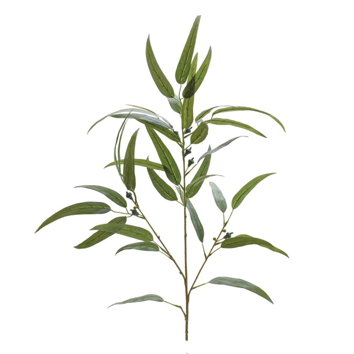 Melrose International Assorted Eucalyptus Leaf Spray, Set of 2, Green