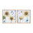 Melrose Framed Sunflower Floral Print, Set of 2, Yellow/Blue/White - 88166DS