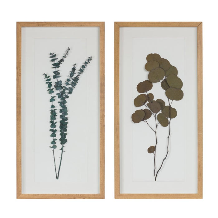 Melrose International Dried Eucalyptus Frame, Set of 2, White/Green - 88234DS