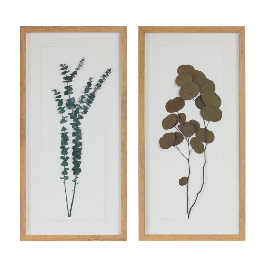 Melrose International Dried Eucalyptus Frame, Set of 2, White/Green - 88234DS