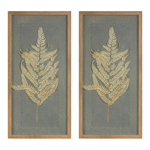 Melrose International Dried Fern Frame, Set of 2, Grey/Brown