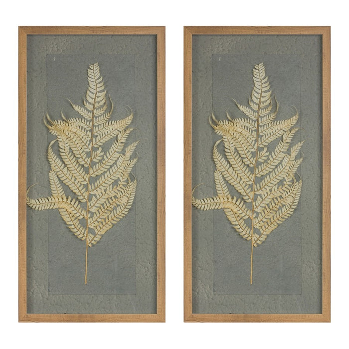Melrose International Dried Fern Frame, Set of 2, Grey/Brown