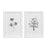 Melrose Framed Tree/Floral Pebble Art, Set of 2, White/Brown - 88325DS