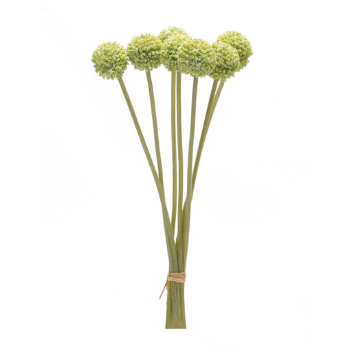 Melrose International Pod Bundle, Set of 6, Green - 88360DS