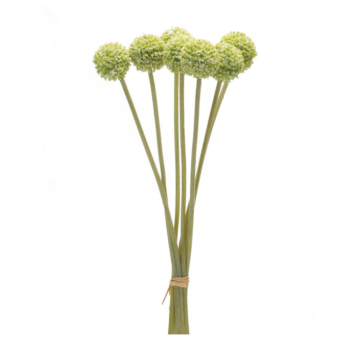 Melrose International Pod Bundle, Set of 6, Green - 88360DS