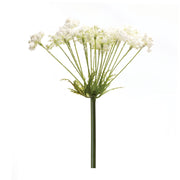 Melrose International Queen Anne's Lace Stem, Set of 2, Green/White - 88534DS