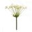 Melrose International Queen Anne's Lace Stem, Set of 2, Green/White - 88534DS