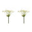 Melrose International Queen Anne's Lace Stem, Set of 2, Green/White