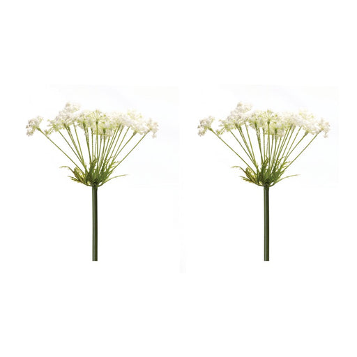 Melrose International Queen Anne's Lace Stem, Set of 2, Green/White