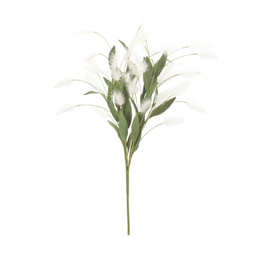 Melrose White Plume Bush (Set of 2), Green/White